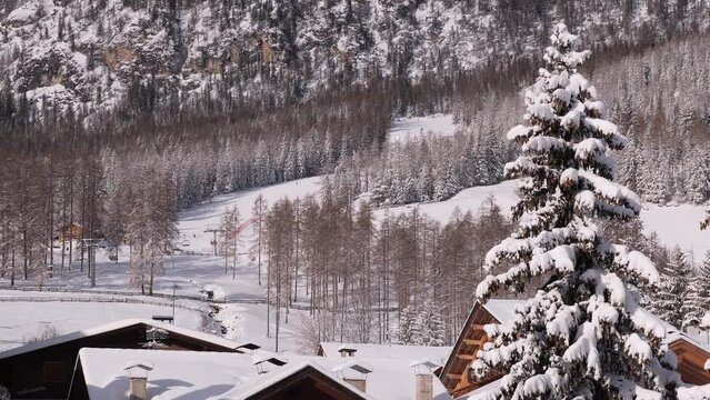 Fir Trees and Roofs of Snowy Houses in the foreground and Ski Slopes and Ski Lifts in the Italian Alps Mountains Full of Snow after a Heavy Snowfall