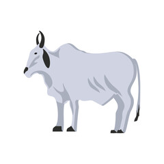 cow animal icon