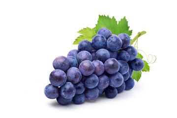 Blue grape isolated on white background.