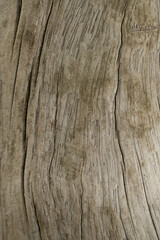 the texture of the old wooden floor. soft focus.