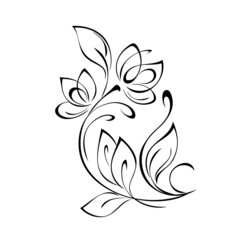 floral design with blooming flowers on stems with leaves and curls. graphic decor