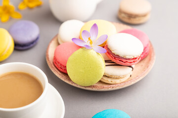 Multicolored macaroons with spring snowdrop crocus flowers and cup of coffee on gray pastel background. side view, close up.