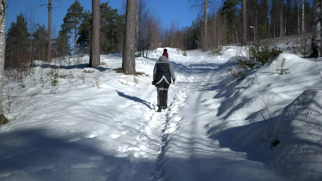 Nordic Person Walking Through Snow Covered Forest Path, Wide