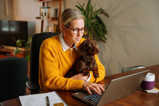 Caucasian female business woman working from home holding pet dog on her lap
