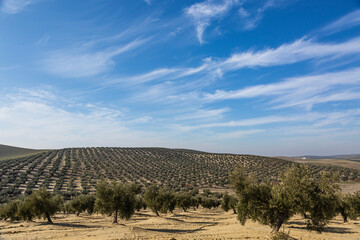 paisaje32