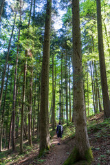 Donaubergland Wandern