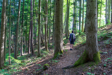 Donaubergland Wandern