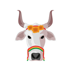 sacred indian cow