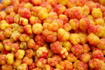 Freshly collected Cloudberries (Rubus chamaemorus) background. Yellow berry background