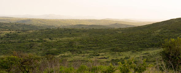 Naturreservat Hluhluwe Imfolozi Park Südafrika