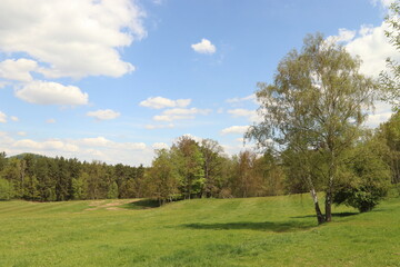 Fototapeta na wymiar landscape with blue sky and white clouds, meadow, forest and tree in the foreground, romantic landscape