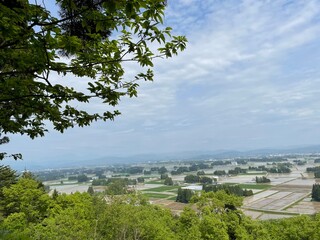 view of the city of the city