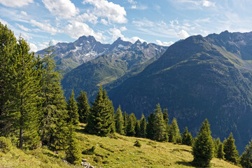 Fototapeta premium View of the peaks of the Pitztal valley, Kaunergrat, Oetztal Alps, Tyrol, Austria Europe