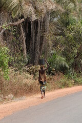 Landscape in West Africa