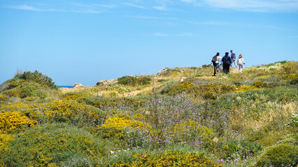 Family of four walking at the meadow with green grass and blooming flowers.