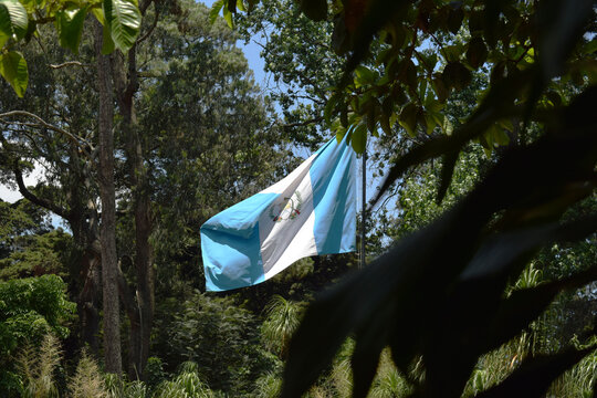 Bandera De Guatemala Rodeada De Naturaleza Verde.