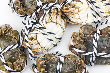 Raw Chinese mitten crab, shanghai hairy crab