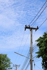 Electricity pole with green tree, blue sky, and white cloud. Technology, industrial, and nature...