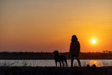 A girl walks with a friend - a guard dog of the Rottweiler breed against the backdrop of a lake and sunset