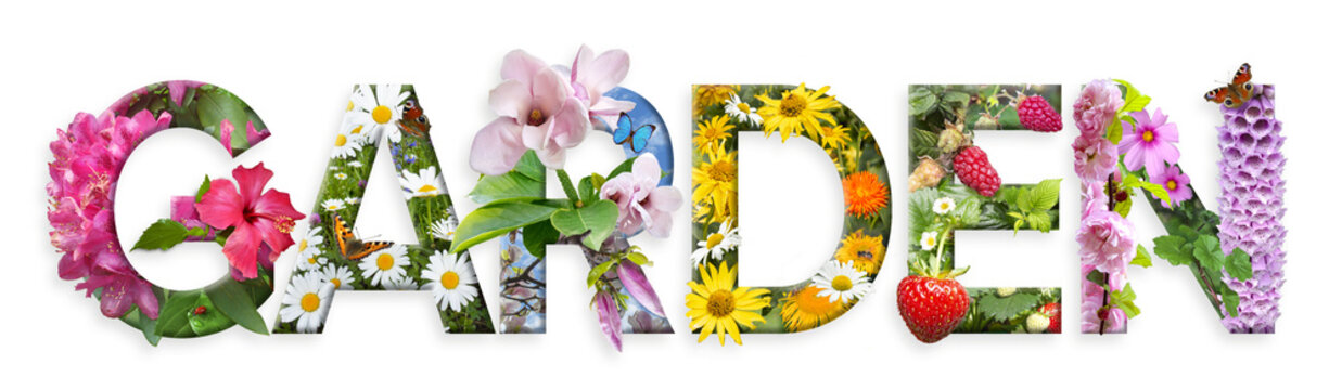 Garden. Floral letters. The letters are made from colorful flower photos.
