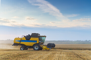 Obraz premium Combine harvester harvests ripe wheat. Ripe ears of gold field on the sunset cloudy orange sky background. . Concept of a rich harvest. Agriculture image