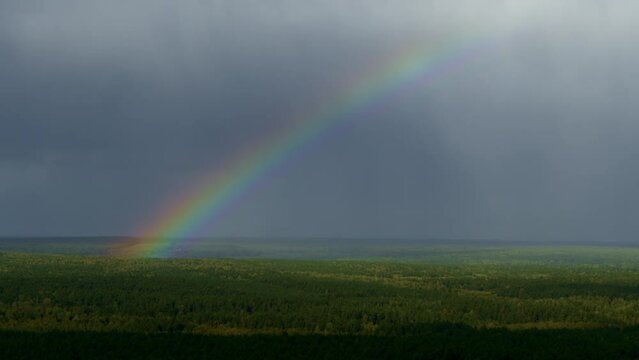 Rainbow over the forest with all colors