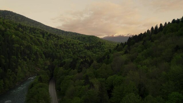 green forest in mountains from drone bird view, sunset, snow
