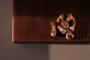 Dry Psilocybe Cubensis mushrooms on wooden board. Life style Psilocybin microdosing concept