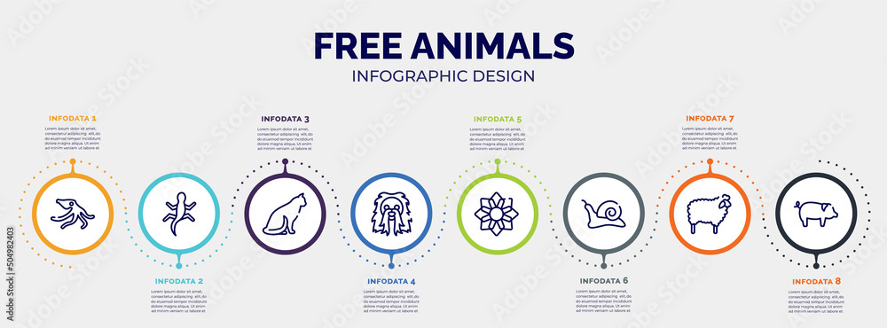 Poster infographic for free animals concept. vector infographic template with icons and 8 option or steps. 