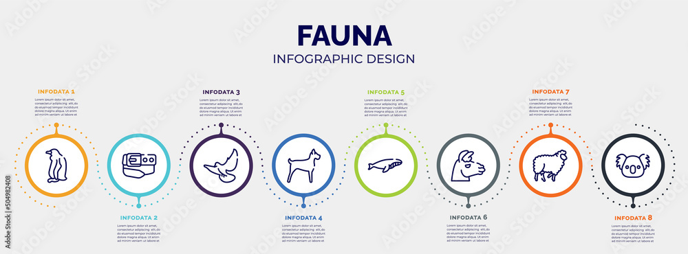 Poster infographic for fauna concept. vector infographic template with icons and 8 option or steps. include