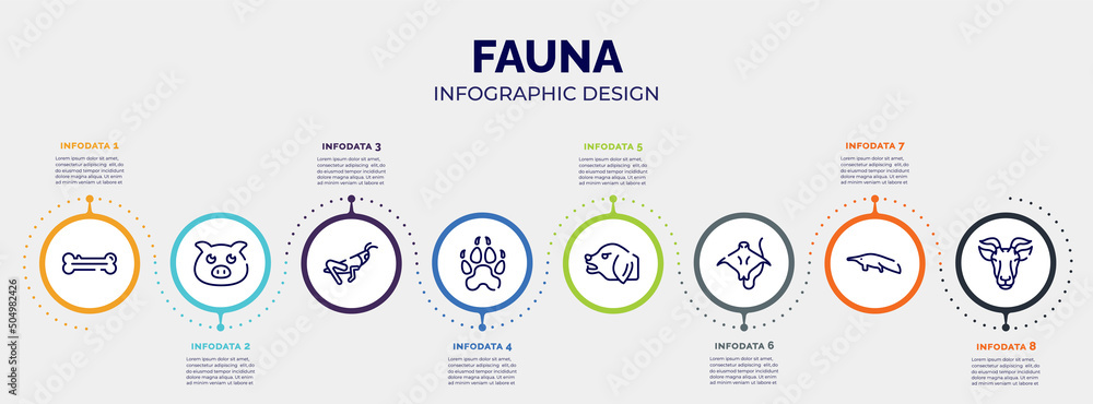 Poster infographic for fauna concept. vector infographic template with icons and 8 option or steps. include