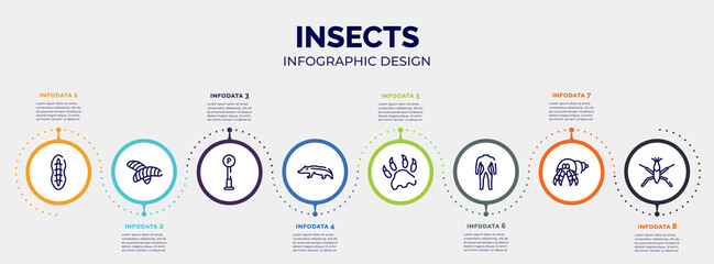infographic for insects concept. vector infographic template with icons and 8 option or steps. included plankton, null, , badger, paw print, diving suit, hermit crab, pond skater editable vector.