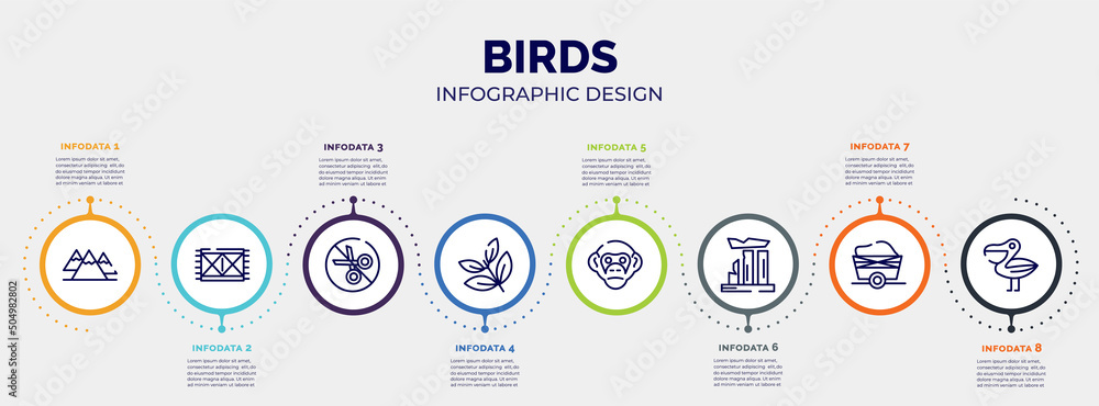 Aufkleber infographic for birds concept. vector infographic template with icons and 8 option or steps. include