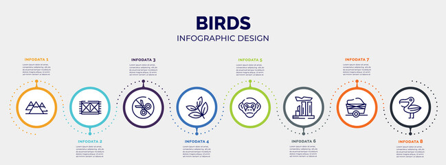 infographic for birds concept. vector infographic template with icons and 8 option or steps. included mountains, rug, no cut, herb, chimpanzee, relics, wagon, pelican editable vector.
