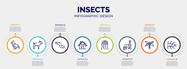 infographic for insects concept. vector infographic template with icons and 8 option or steps. included cardinal, goat, worm, dog house, jellyfish, walking the dog, dragon fly, tarantula editable