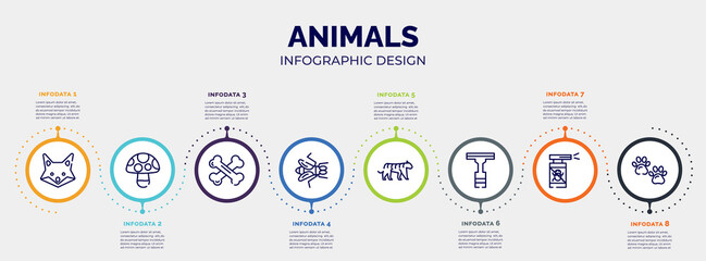 infographic for animals concept. vector infographic template with icons and 8 option or steps. included fox, mushroom, bones, gadfly, tiger, null, anti flea, pawprint editable vector.