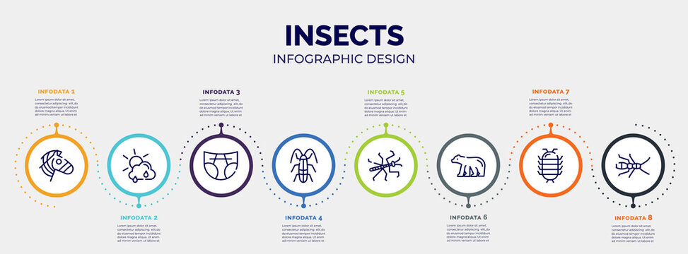 infographic for insects concept. vector infographic template with icons and 8 option or steps. included zebra, clouds and sun, diapers, cockroach, mantis, polar bear, cochineal, earwig editable