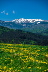 Colorful spring mountain landscape. Mount Dumbier, the Low Tatras, Slovakia.