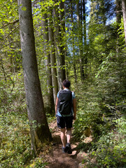 Wandern im Donaubergland