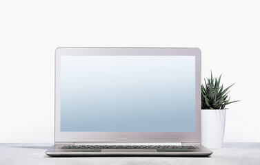 Front view of the laptop with mockup gradient screen on the desk. Copy space. Minimal monochrome. Small plant in a pot
