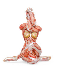 female bodybuilder is doing a seated eagle yoga pose in white background