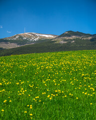 Colorful spring mountain landscape. Mount Kralova Hola, the Low Tatras, Slovakia. © Szymon Bartosz