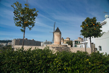 Old mills