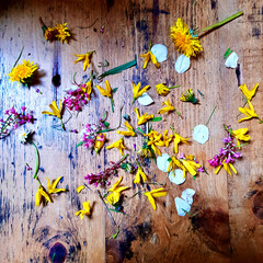Scattered Flowers