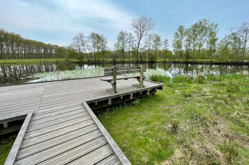 Fototapeta premium dutch landscape on a cloudy day in spring
