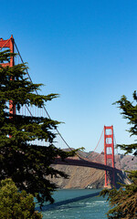 Golden Gate Bridge View from the trees, San Francisco, California, USA
