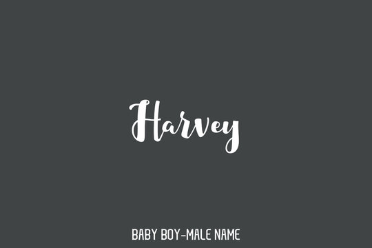 Text Typography Lettering of Baby Boy Name " Harvey " 
