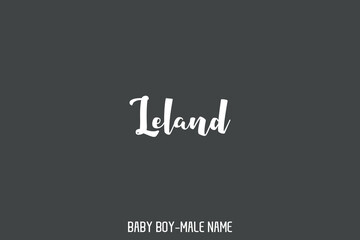 Text Typography Lettering of Baby Boy Name 