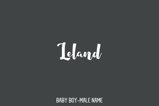 Text Typography Lettering of Baby Boy Name " Leland " 