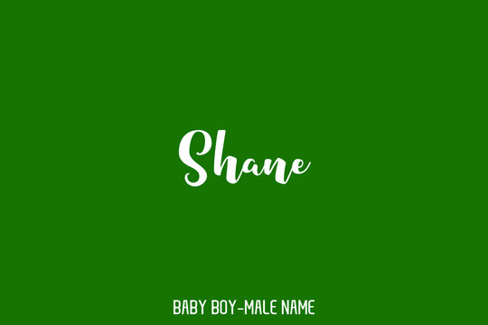 Bold Calligraphic Text Sign of Baby Boy Name " Shane "